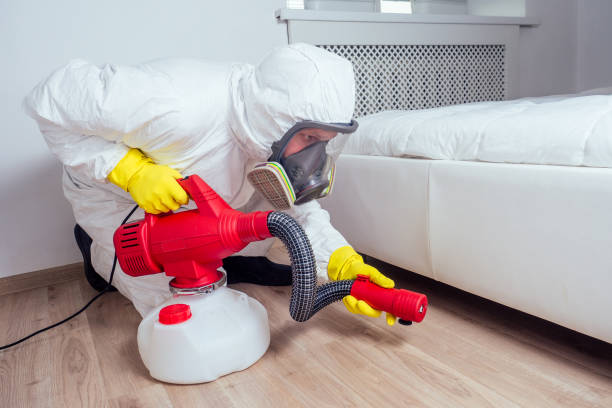 Best Mosquito Control Services  in Shelbina, MO