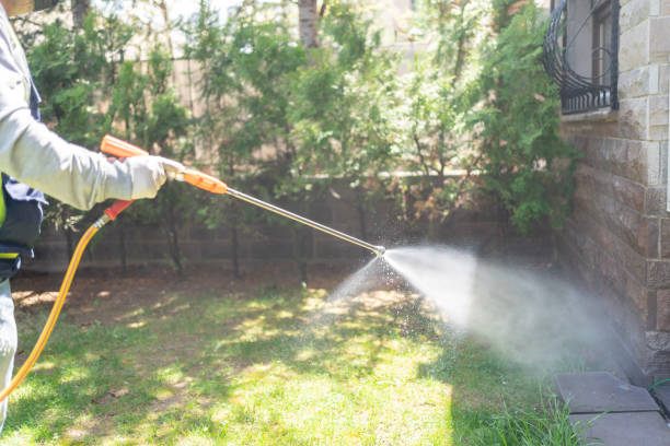Best Pest Prevention Services  in Shelbina, MO
