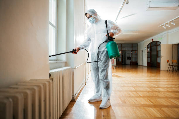 Best Local Pest Control Services  in Shelbina, MO