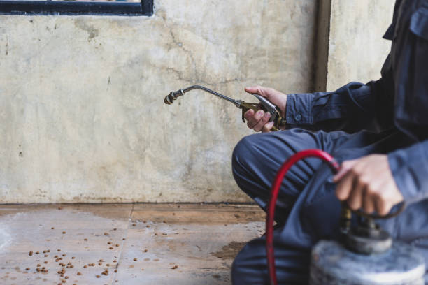 Best Exterminator Services  in Shelbina, MO